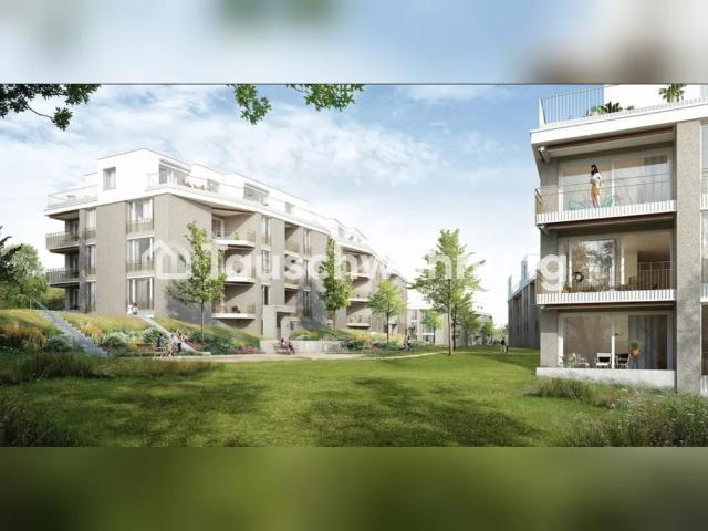 Rent a 2 ½ rooms apartment in Zürich Flatfox
