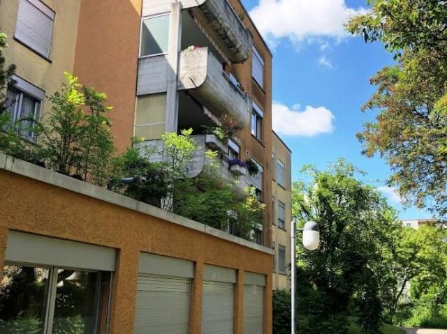 Rent a 2 ½ rooms apartment in Zürich Flatfox