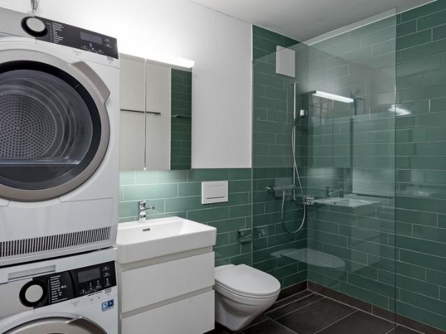 Rent a 2 ½ rooms apartment in Zürich Flatfox