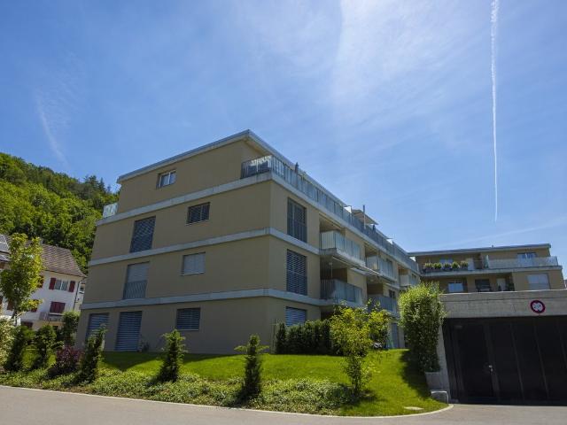 Rent a 2 ½ rooms attic flat in Liestal Flatfox