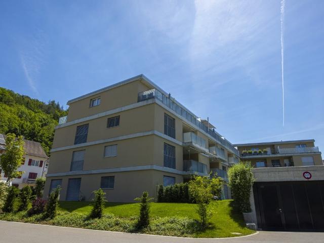 Rent a 2 ½ rooms attic flat in Liestal Flatfox