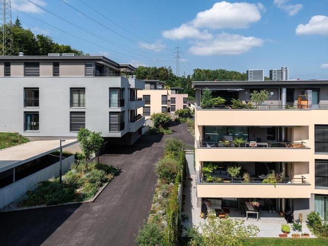 Rent a 2 ½ rooms attic flat in Liestal Flatfox