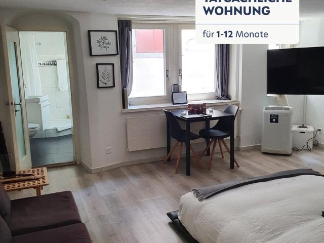 Rent a 2 rooms furnished flat in Zug Flatfox