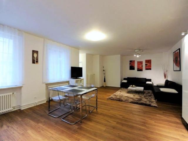 Rent a 2 ½ rooms furnished flat in Basel Flatfox
