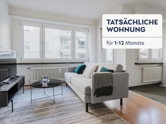 Rent a 2 rooms furnished flat in Basel Flatfox