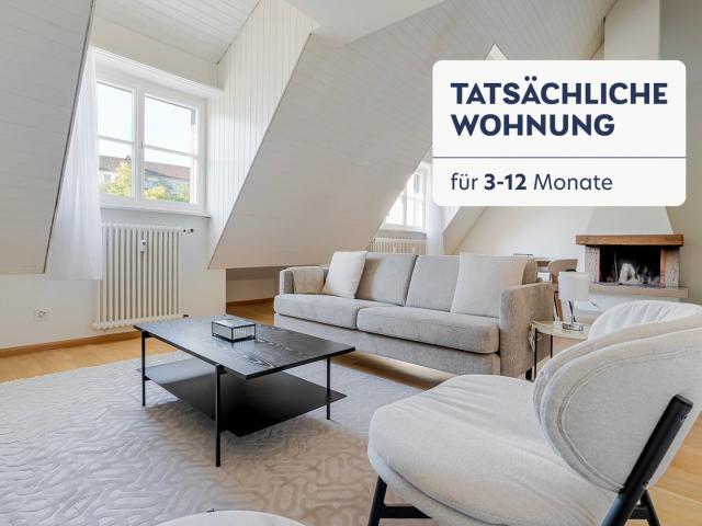 Rent a 2 ½ rooms furnished flat in Basel Flatfox