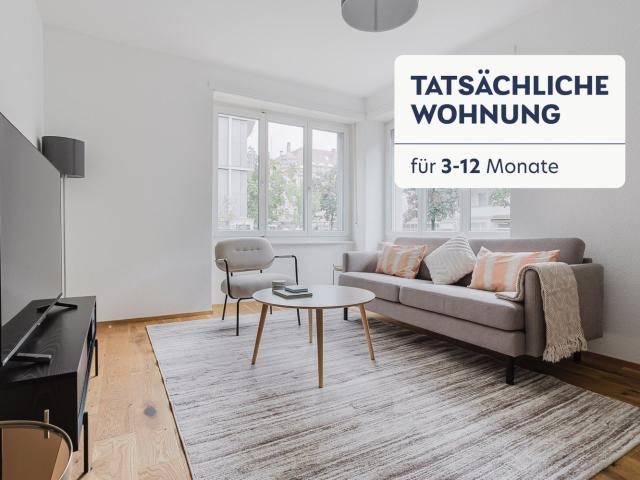 Rent a 2 ½ rooms furnished flat in Basel Flatfox