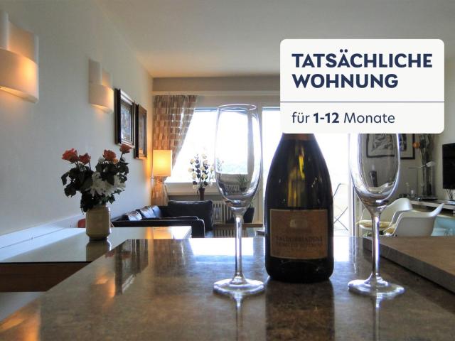 Rent a 2 rooms furnished flat in Lugano Flatfox