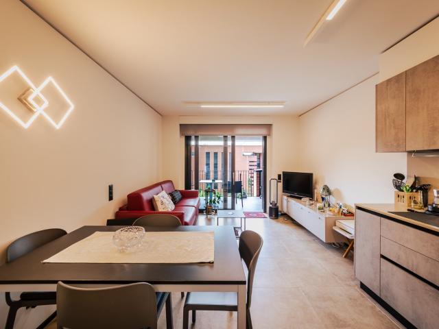 Rent a 2 ½ rooms furnished flat in Riva San Vitale Flatfox