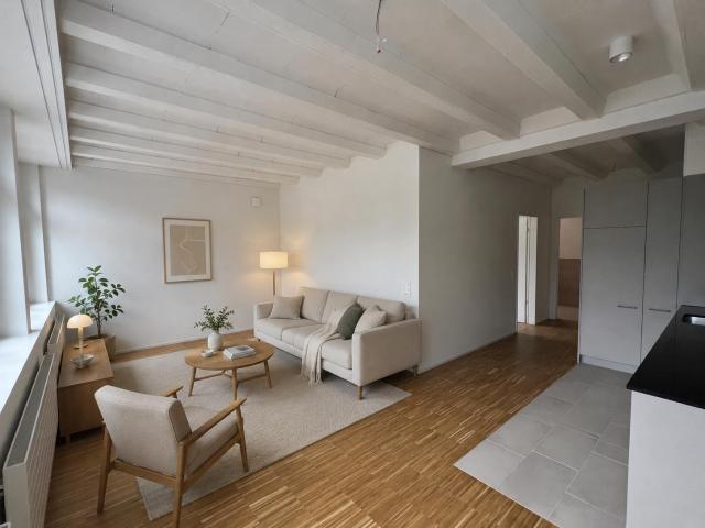Rent a 2 ½ rooms loft in Neu St. Johann Flatfox