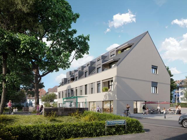 Rent a 2 ½ rooms roof flat in Riehen Flatfox
