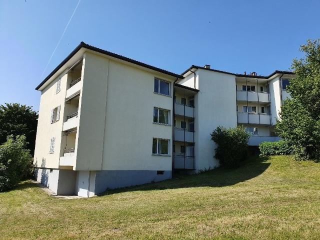 Rent a 4 ½ rooms apartment in Adliswil Flatfox