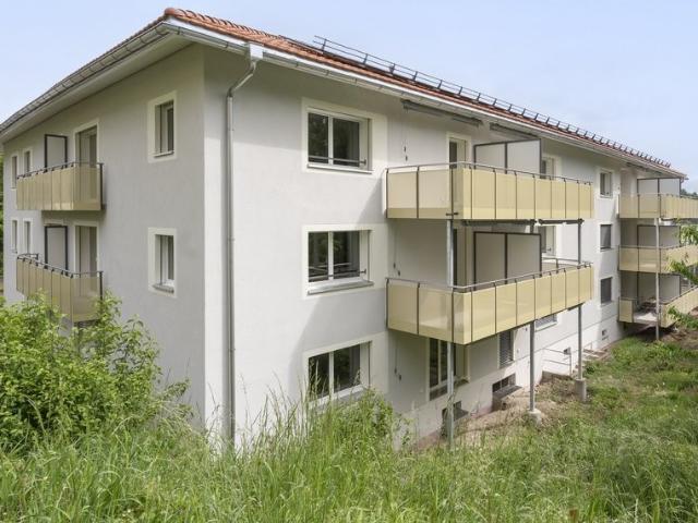 Rent a 4 rooms apartment in Adliswil Flatfox