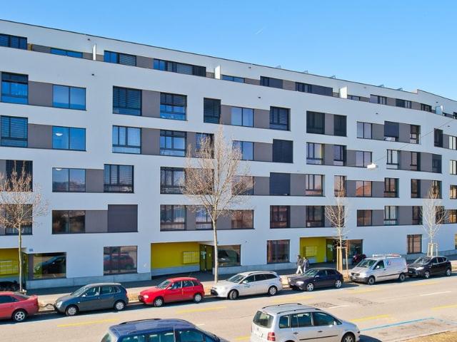 Rent a 4 ½ rooms apartment in Basel Flatfox