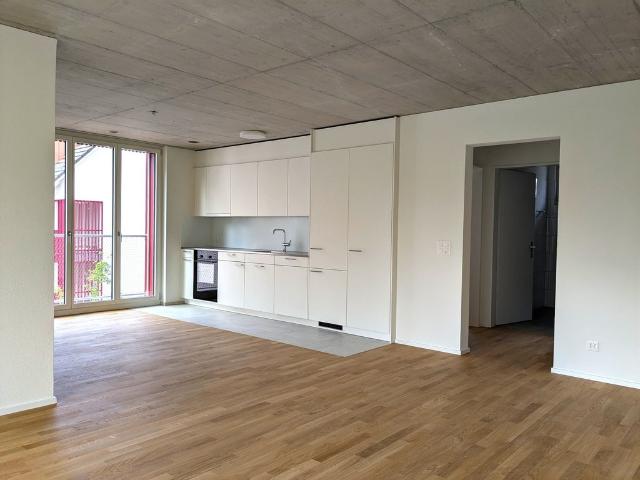Rent a 4 ½ rooms apartment in Benzenschwil Flatfox