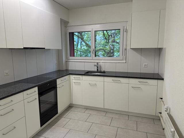 Rent a 4 rooms apartment in Brugg Flatfox