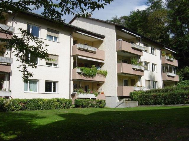 Rent a 4 ½ rooms apartment in Dornach Flatfox