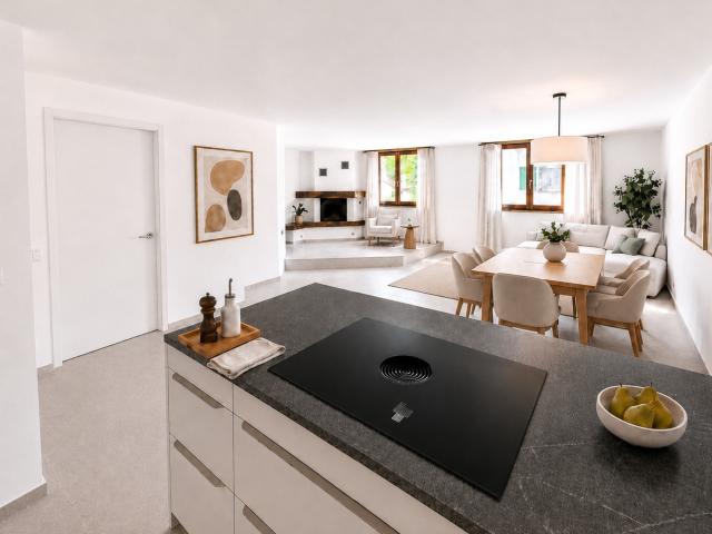 Rent a 4 ½ rooms apartment in Dachsen Flatfox