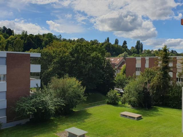 Rent a 4 ½ rooms apartment in Frauenfeld Flatfox