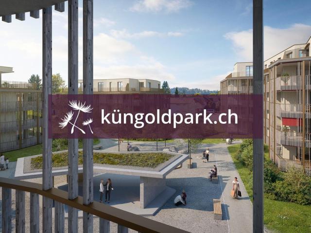 Rent a 4 ½ rooms apartment in Küngoldingen Flatfox