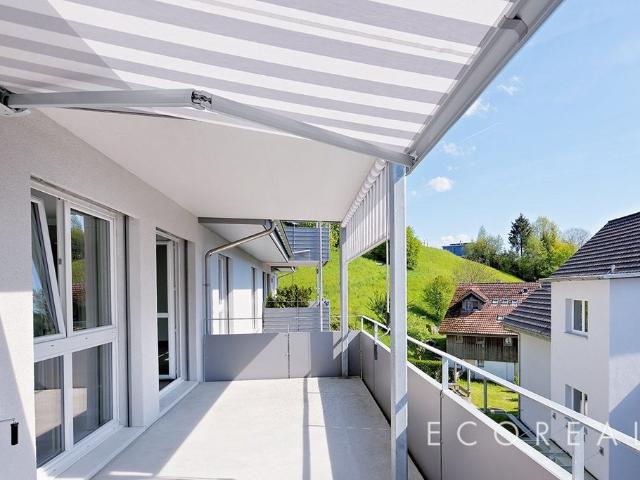 Rent a 4 ½ rooms apartment in Jonen Flatfox