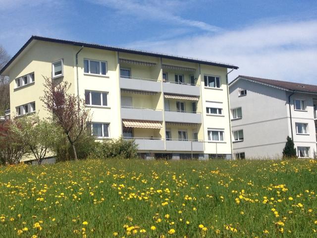 Rent a 4 ½ rooms apartment in Olten Flatfox