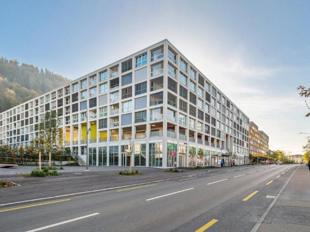 Rent a 4 ½ rooms apartment in Luzern Flatfox