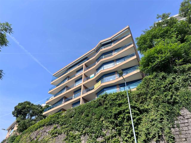 Rent a 4 ½ rooms apartment in Lugano Flatfox