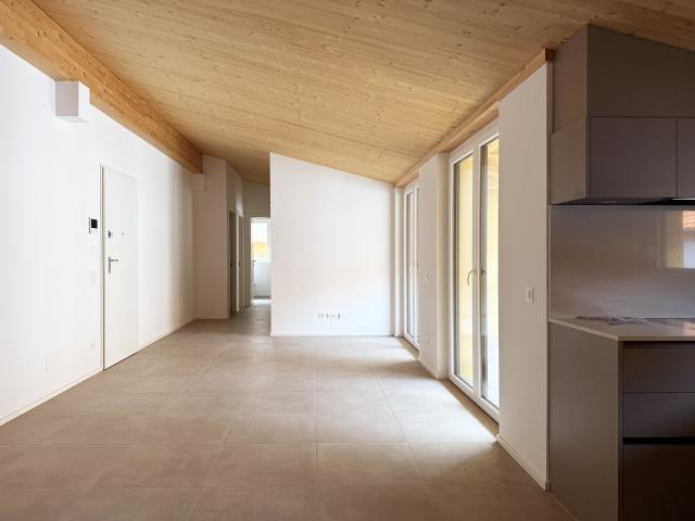 Rent a 4 ½ rooms apartment in Lugano Flatfox