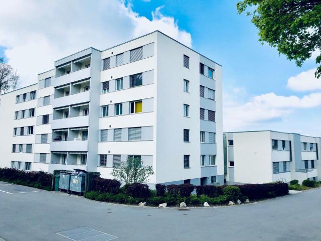 Rent a 4 ½ rooms apartment in Lyss Flatfox