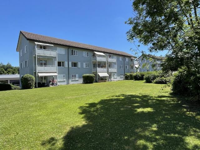 Rent a 4 rooms apartment in Muri Flatfox