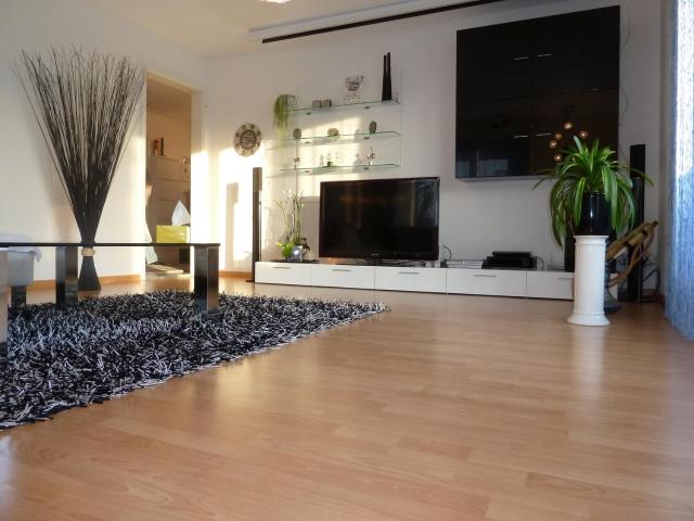 Rent a 4 ½ rooms apartment in Uznach Flatfox