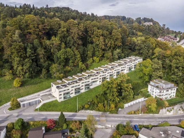 Rent a 4 ½ rooms duplex in Luzern Flatfox
