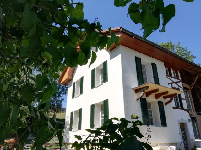 Rent a 4 rooms duplex in Säriswil Flatfox