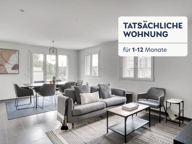 Rent a 4 ½ rooms furnished flat in Zürich Flatfox
