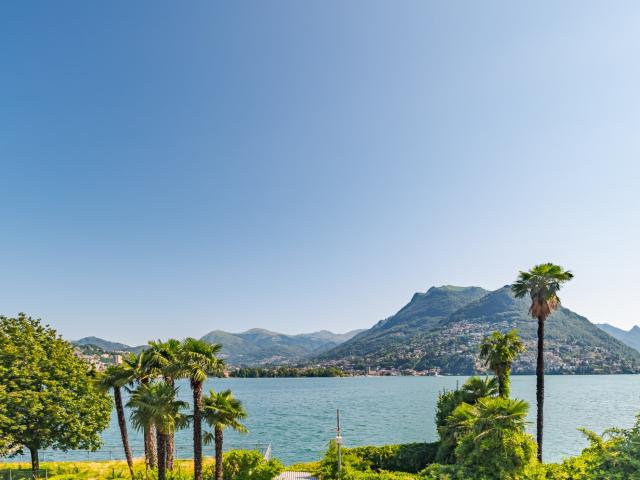Rent a 4 ½ rooms furnished flat in Paradiso Flatfox