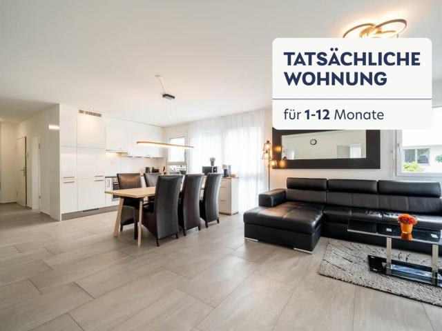 Rent a 4 rooms furnished flat in Safenwil Flatfox
