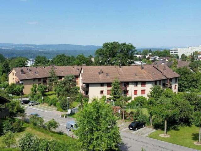 Rent a 4 ½ rooms roof flat in Berikon Flatfox