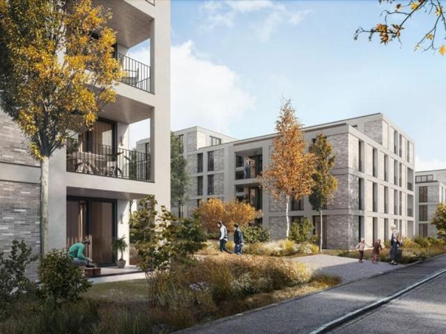 Rent a 4 ½ rooms roof flat in Binningen Flatfox