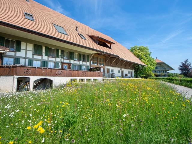 Rent a 4 ½ rooms roof flat in Iffwil Flatfox