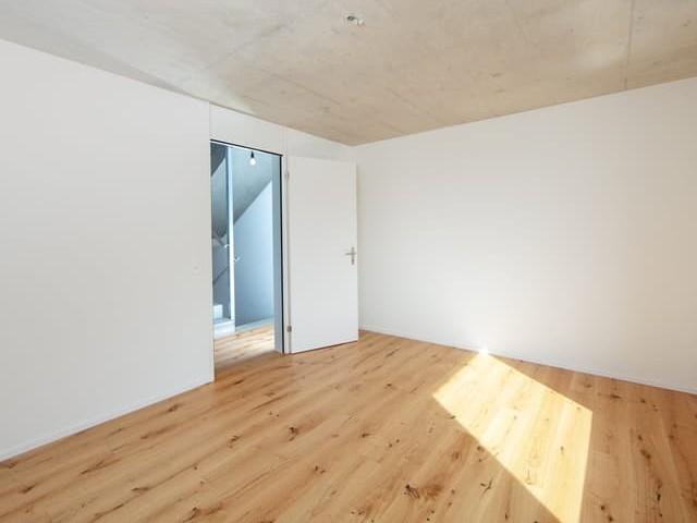 Rent a 4 ½ rooms single house in Gelterkinden Flatfox