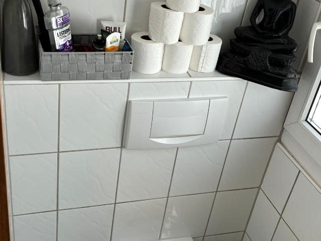 Rent a 4 ½ rooms single house in Fischenthal Flatfox