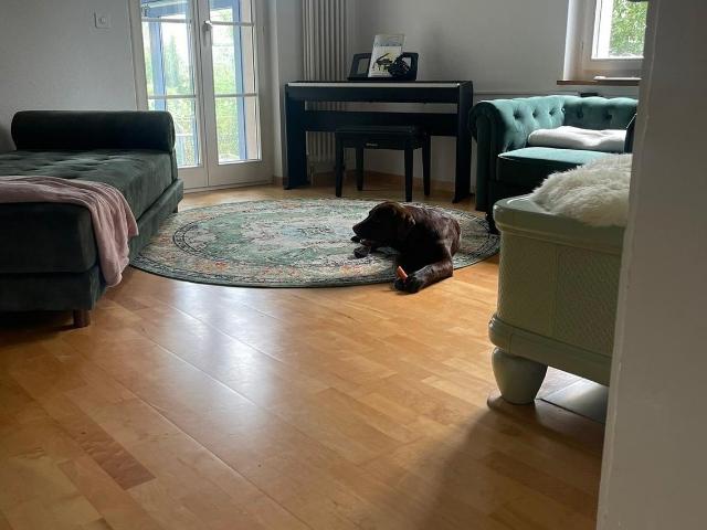 Rent a 4 ½ rooms single house in Hettlingen Flatfox
