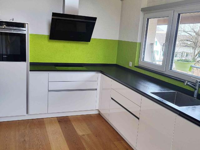Rent a 4 ½ rooms single house in Nunningen Flatfox