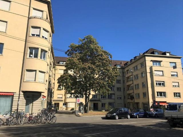 Rent a 5 rooms apartment in Basel Flatfox