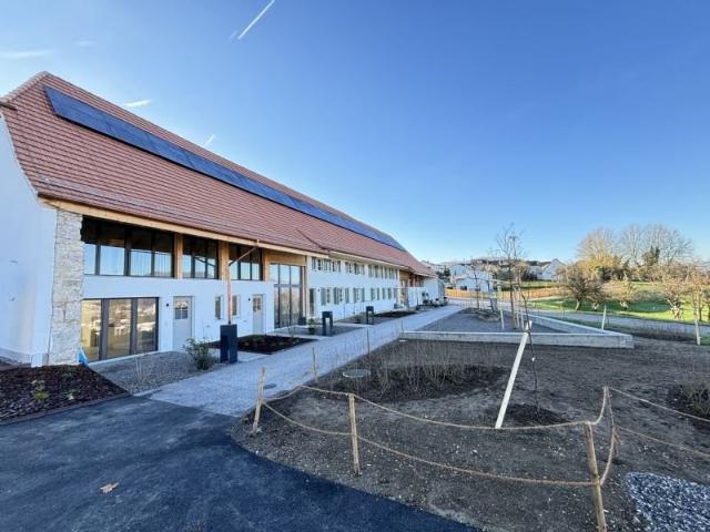 Rent a 5 rooms apartment in Olten Flatfox