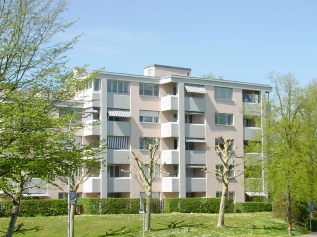Rent a 5 ½ rooms apartment in Niederhasli Flatfox
