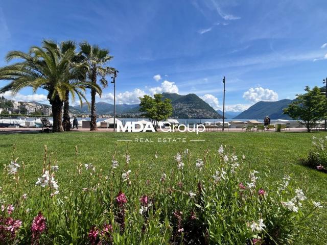 Rent a 5 rooms apartment in Paradiso Flatfox