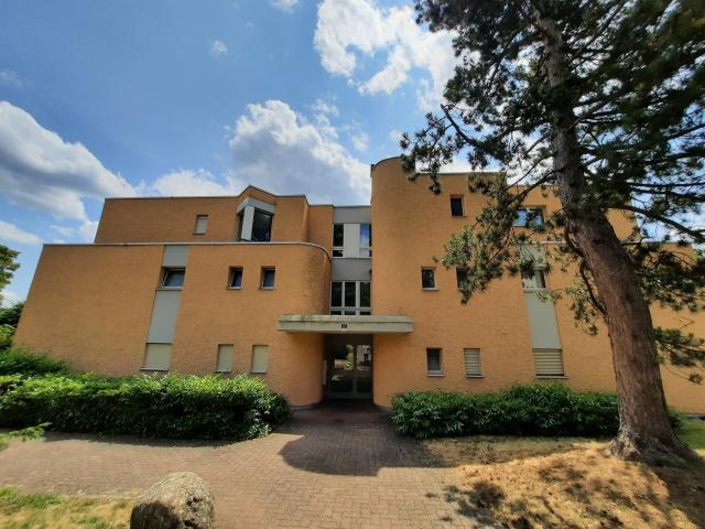 Rent a 5 ½ rooms apartment in Unterengstringen Flatfox