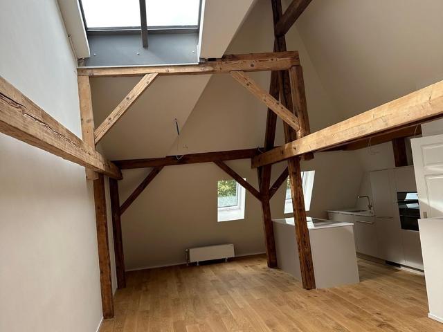 Rent a 5 ½ rooms duplex in Basel Flatfox